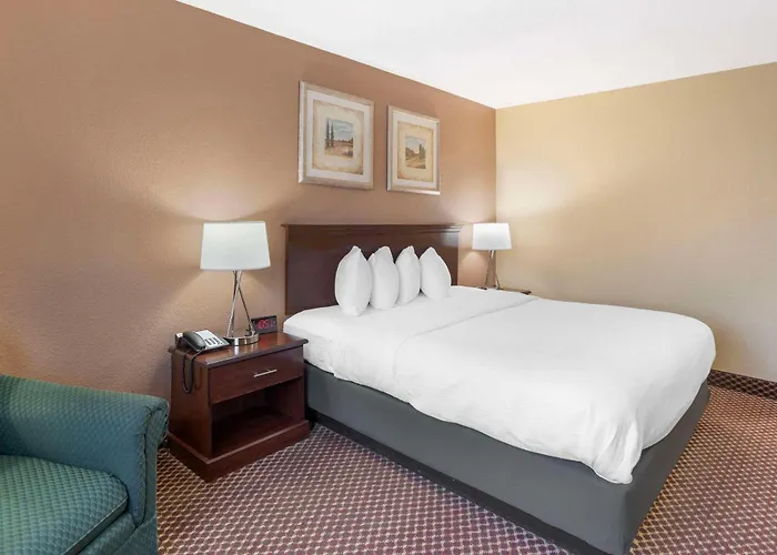 Hotel Quality & Area 4*