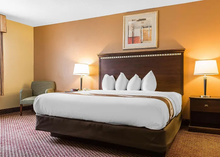 Quality & Area Hotel
