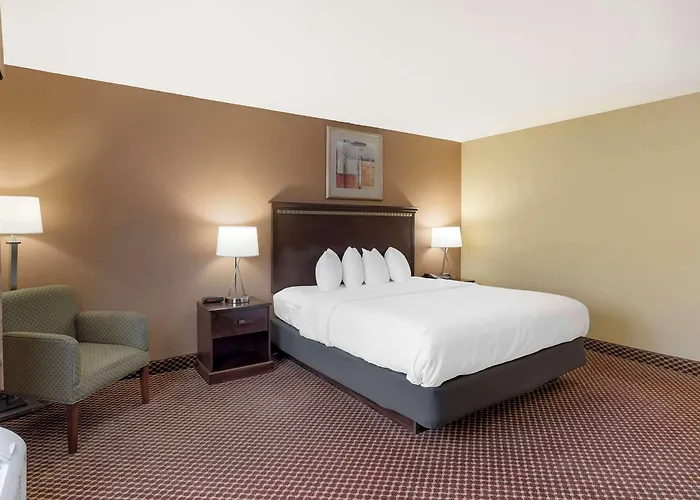 Hotel Quality & Area
