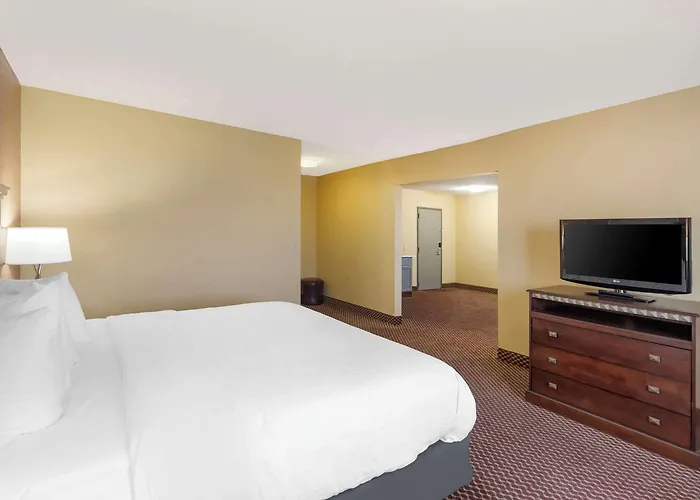 Quality & Area Hotel