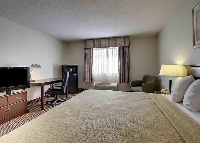 Hotel Quality & Area